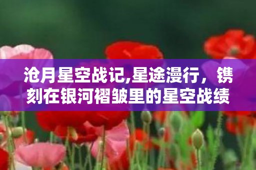 沧月星空战记,星途漫行,镌刻在银河褶皱里的星空战绩 沧月星空战记,星途漫行,镌刻在银河褶皱里的星空战绩