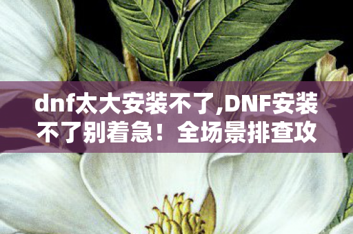 dnf太大安装不了,DNF安装不了别着急！全场景排查攻略帮你顺利进阿拉德