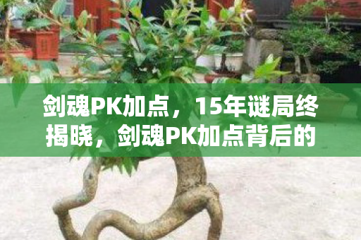剑魂PK加点，15年谜局终揭晓，剑魂PK加点背后的泪目真相