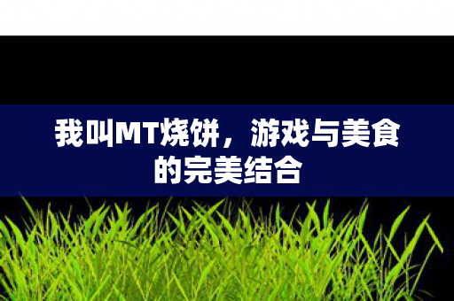 游戏与美食的完美结合图片