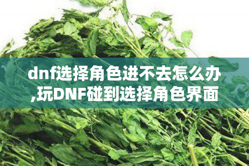 dnf选择角色进不去怎么办,玩DNF碰到选择角色界面卡着进不去?这些实用解决方法亲测有效 dnf选择角色进不去怎么办,玩DNF碰到选择角色界面卡着进不去?这些实用解决方法亲测有效