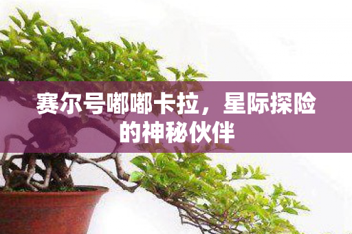 星际探险的神秘伙伴图片