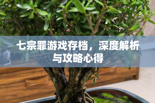 深度解析与攻略心得图片