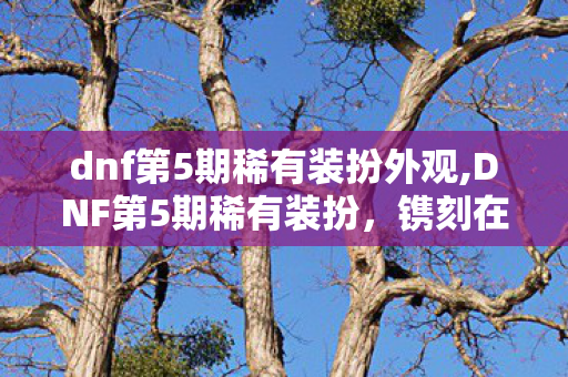dnf第5期稀有装扮外观,DNF第5期稀有装扮,镌刻在阿拉德记忆里的国风经典 dnf第5期稀有装扮外观,DNF第5期稀有装扮,镌刻在阿拉德记忆里的国风经典