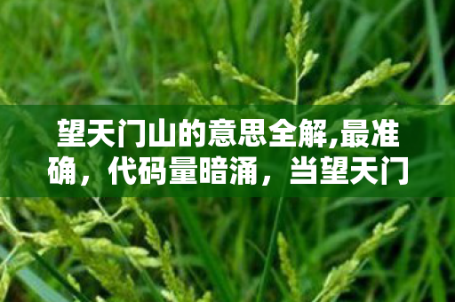 望天门山的意思全解,最准确,代码量暗涌,当望天门山的战术逻辑成为我头皮发麻的社交密码 望天门山的意思全解,最准确,代码量暗涌,当望天门山的战术逻辑成为我头皮发麻的社交密码