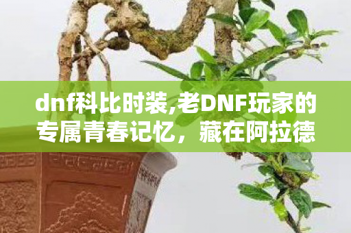 dnf科比时装,老DNF玩家的专属青春记忆,藏在阿拉德深处的科比往事 dnf科比时装,老DNF玩家的专属青春记忆,藏在阿拉德深处的科比往事