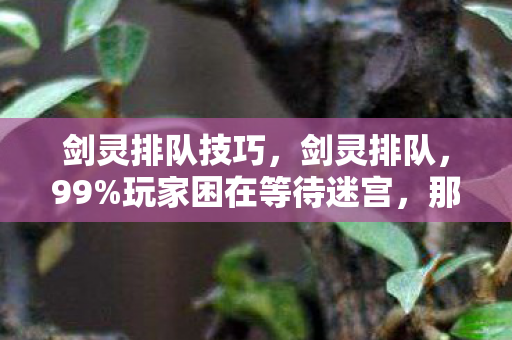 剑灵排队技巧,剑灵排队,99%玩家困在等待迷宫,那1%的真相扎了谁的心? 剑灵排队技巧,剑灵排队,99%玩家困在等待迷宫,那1%的真相扎了谁的心?