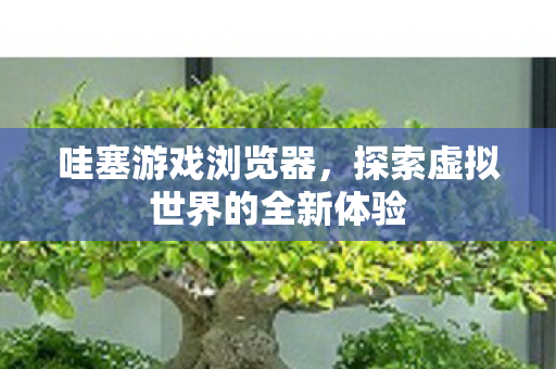 探索虚拟世界的全新体验图片