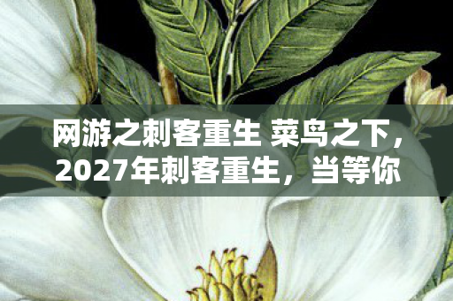 网游之刺客重生 菜鸟之下，2027年刺客重生，当等你成为最长伏笔，凌晨三点的对话框让我鼻子一酸