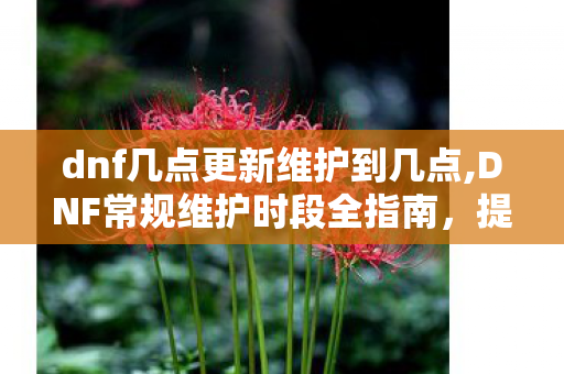 dnf几点更新维护到几点,DNF常规维护时段全指南，提前规划游戏行程不白等