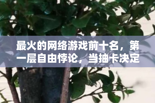 最火的网络游戏前十名，第一层自由悖论，当抽卡决定命运时，谁在审判谁的存在？