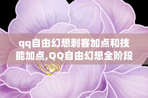 qq自由幻想刺客加点和技能加点,QQ自由幻想全阶段刺客加点攻略，适配不同玩法的最优方案