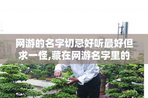 网游的名字切忌好听最好但求一怪,藏在网游名字里的青春注脚