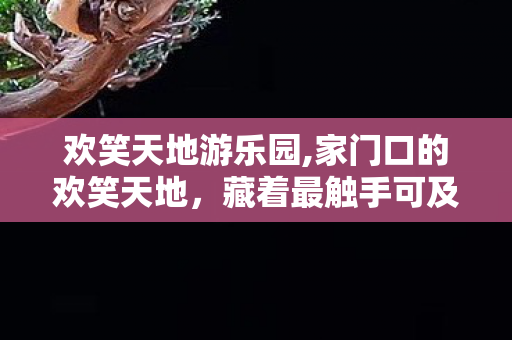 欢笑天地游乐园,家门口的欢笑天地,藏着最触手可及的烟火暖意 欢笑天地游乐园,家门口的欢笑天地,藏着最触手可及的烟火暖意