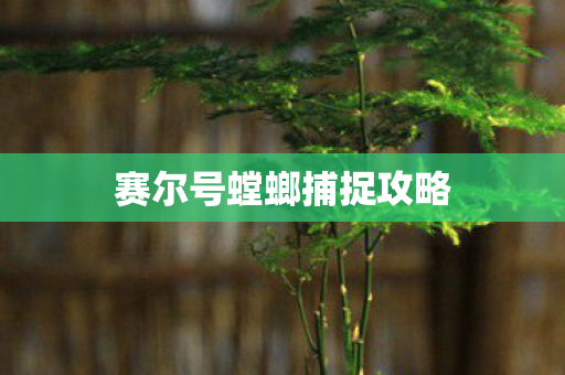 赛尔号螳螂捕捉攻略图片