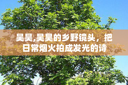 吴昊,吴昊的乡野镜头,把日常烟火拍成发光的诗 吴昊,吴昊的乡野镜头,把日常烟火拍成发光的诗