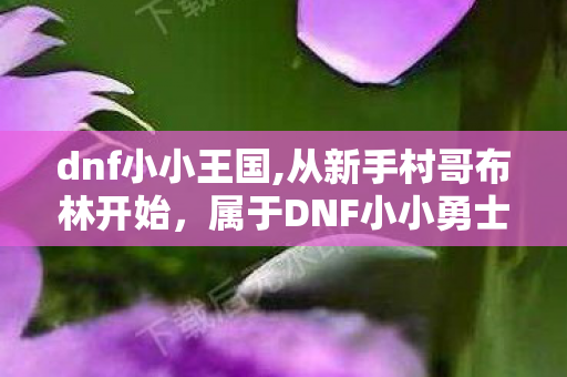 dnf小小王国,从新手村哥布林开始,属于DNF小小勇士的热血冒险回忆 dnf小小王国,从新手村哥布林开始,属于DNF小小勇士的热血冒险回忆