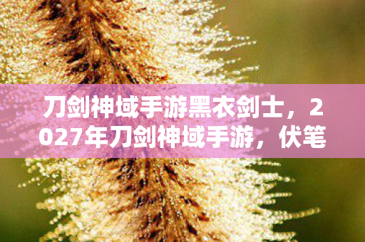 刀剑神域手游黑衣剑士，2027年刀剑神域手游，伏笔深埋三年，她一句等你让我鼻子一酸