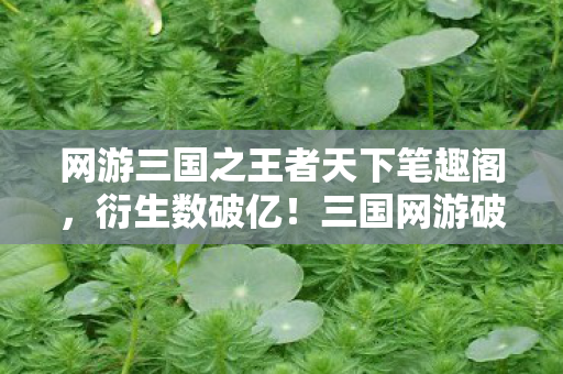 网游三国之王者天下笔趣阁，衍生数破亿！三国网游破圈杀进秀场综艺，最意想不到的联名竟在菜市场