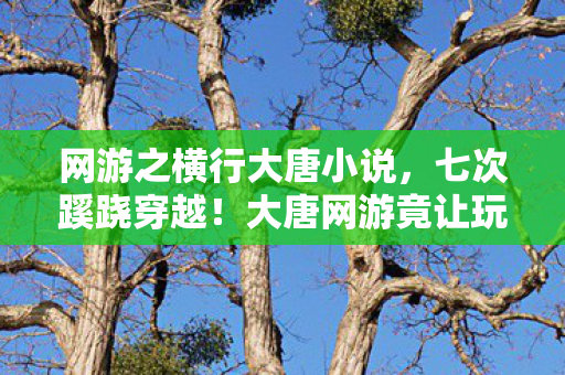 网游之横行大唐小说,七次蹊跷穿越!大唐网游竟让玩家后背发凉的真实原因 网游之横行大唐小说,七次蹊跷穿越!大唐网游竟让玩家后背发凉的真实原因
