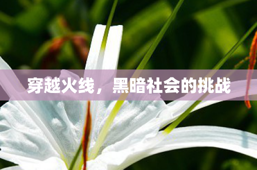 黑暗社会的挑战图片
