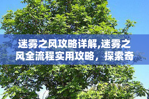 迷雾之风攻略详解,迷雾之风全流程实用攻略，探索奇幻风雾世界的进阶指南