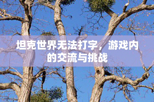 游戏内的交流与挑战图片