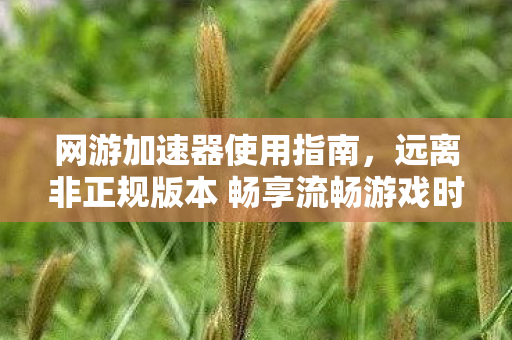 网游加速器使用指南，远离非正规版本 畅享流畅游戏时光