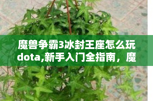 魔兽争霸3冰封王座怎么玩dota,新手入门全指南，魔兽争霸3冰封王座基础玩法详解