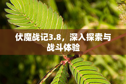 深入探索与战斗体验图片