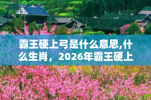 霸王硬上弓是什么意思,什么生肖，2026年霸王硬上弓新解，99%的人竟误解了这串数字密码？