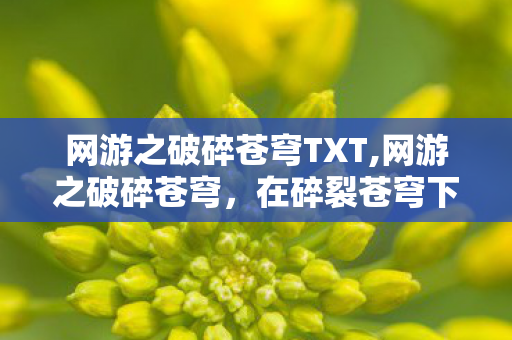 网游之破碎苍穹TXT,网游之破碎苍穹，在碎裂苍穹下踏遍万境的逐梦之旅
