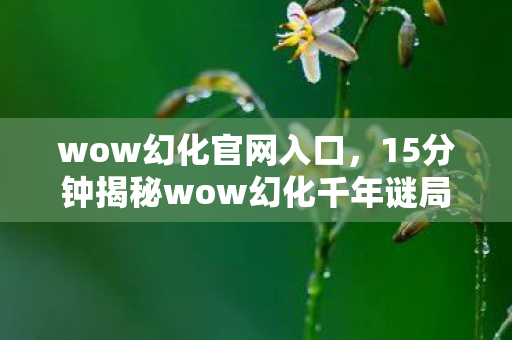 wow幻化官网入口，15分钟揭秘wow幻化千年谜局，当数据流干时，谁在墓碑前刻下泪目？