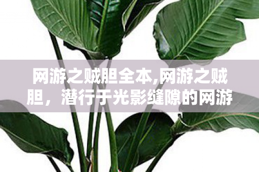 网游之贼胆全本,网游之贼胆，潜行于光影缝隙的网游职业浪漫