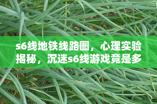 s6线地铁线路图,心理实验揭秘,沉迷s6线游戏竟是多巴胺回路的细思极恐操控 s6线地铁线路图,心理实验揭秘,沉迷s6线游戏竟是多巴胺回路的细思极恐操控