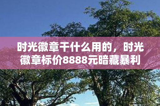 时光徽章干什么用的,时光徽章标价8888元暗藏暴利?离职老兵拍桌怒揭,这方案早该枪毙! 时光徽章干什么用的,时光徽章标价8888元暗藏暴利?离职老兵拍桌怒揭,这方案早该枪毙!