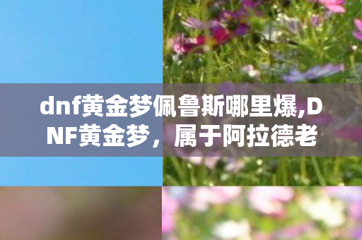 dnf黄金梦佩鲁斯哪里爆,DNF黄金梦，属于阿拉德老玩家的专属旧时光印记