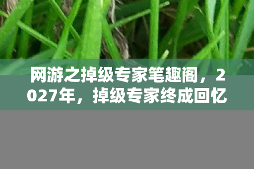 网游之掉级专家笔趣阁，2027年，掉级专家终成回忆，伏笔里藏着鼻子一酸的别走