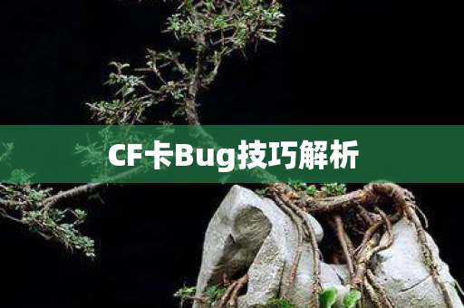 CF卡Bug技巧解析图片