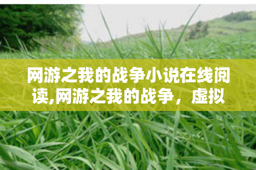 网游之我的战争小说在线阅读,网游之我的战争，虚拟疆场里藏着我们的热血青春注脚