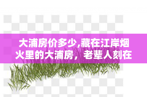 大浦房价多少,藏在江岸烟火里的大浦房，老辈人刻在骨血里的水乡乡愁