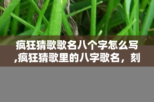 疯狂猜歌歌名八个字怎么写,疯狂猜歌里的八字歌名，刻进时光里的华语乐坛小彩蛋