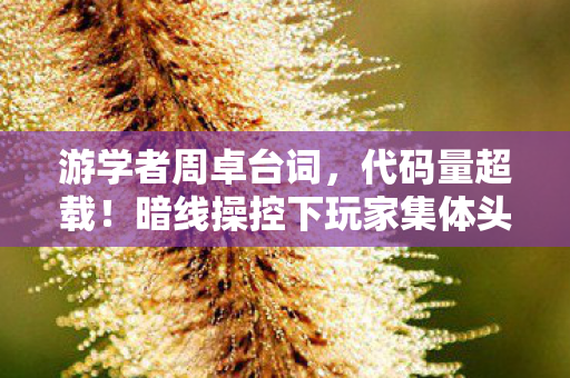 游学者周卓台词,代码量超载!暗线操控下玩家集体头皮发麻的赛博暴动 游学者周卓台词,代码量超载!暗线操控下玩家集体头皮发麻的赛博暴动