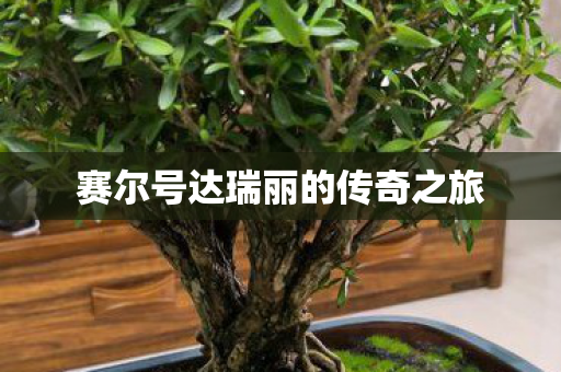 赛尔号达瑞丽的传奇之旅图片