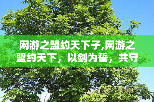 网游之盟约天下子,网游之盟约天下,以剑为誓,共守山河万里 网游之盟约天下子,网游之盟约天下,以剑为誓,共守山河万里