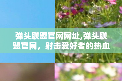 弹头联盟官网网址,弹头联盟官网,射击爱好者的热血同好大本营 弹头联盟官网网址,弹头联盟官网,射击爱好者的热血同好大本营