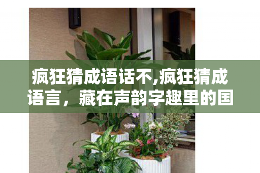 疯狂猜成语话不,疯狂猜成语言,藏在声韵字趣里的国风轻娱乐新体验 疯狂猜成语话不,疯狂猜成语言,藏在声韵字趣里的国风轻娱乐新体验