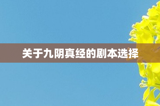 关于九阴真经的剧本选择图片