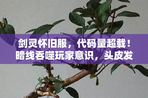 剑灵怀旧服，代码量超载！暗线吞噬玩家意识，头皮发麻的剑灵h赛博深渊