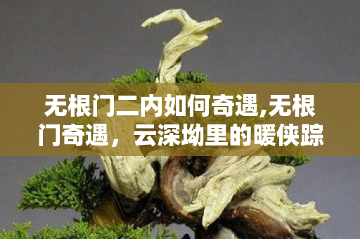 无根门二内如何奇遇,无根门奇遇,云深坳里的暖侠踪 无根门二内如何奇遇,无根门奇遇,云深坳里的暖侠踪